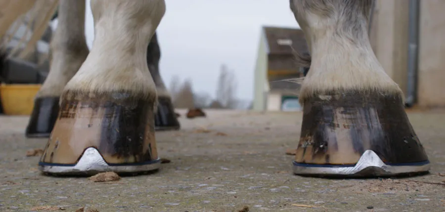 Fer aluminium avec plaque viscoélastique - vue 1